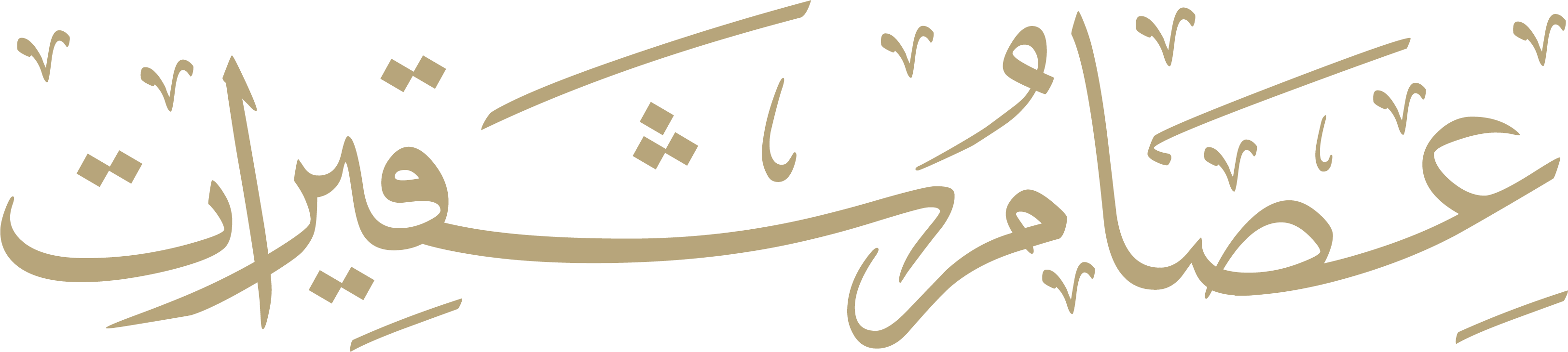 شعار دبلوم ريادة